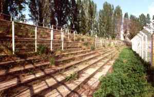 Hungaria Köruti Palya